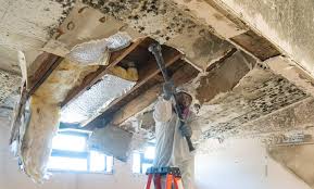 Best Commercial Mold Inspection in Cedarhurst, NY